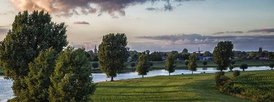 Image for Steunstichting Dam